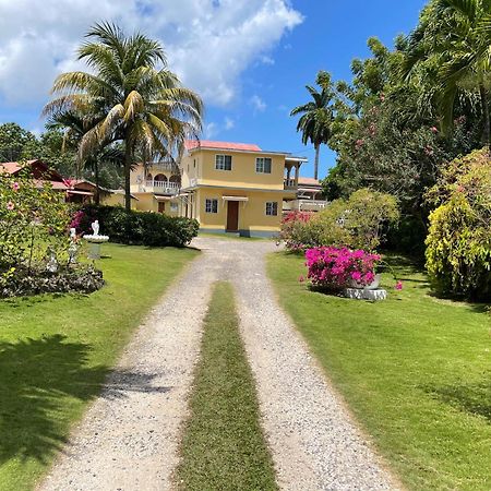 Little Shaw Park Guest House Ocho Rios Bagian luar foto