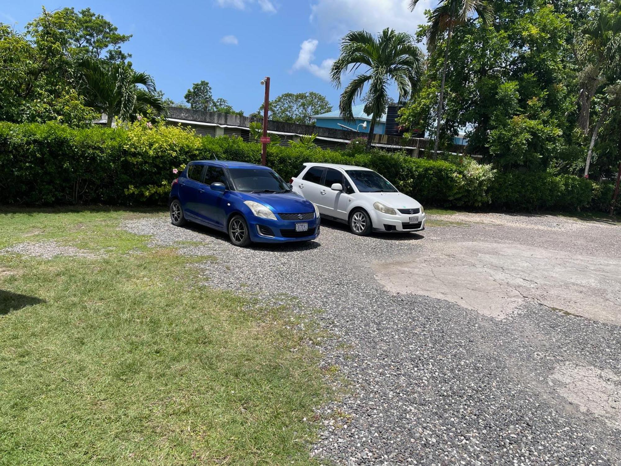 Little Shaw Park Guest House Ocho Rios Bagian luar foto