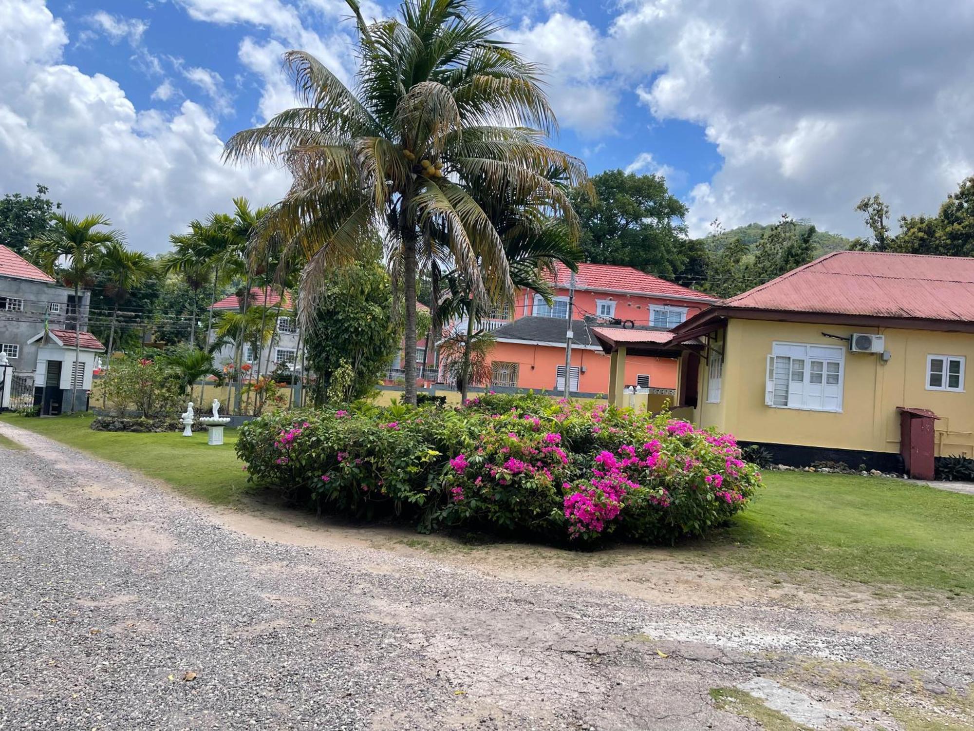 Little Shaw Park Guest House Ocho Rios Bagian luar foto