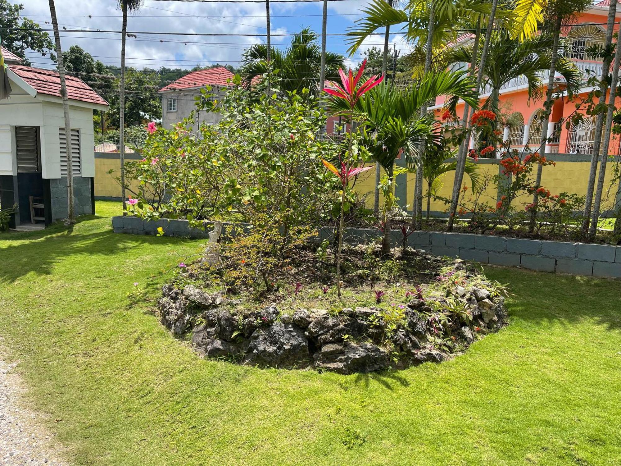Little Shaw Park Guest House Ocho Rios Bagian luar foto